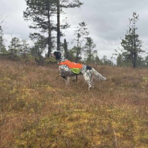 566512771_1122570006698335_4444500216960559199_n-300x300